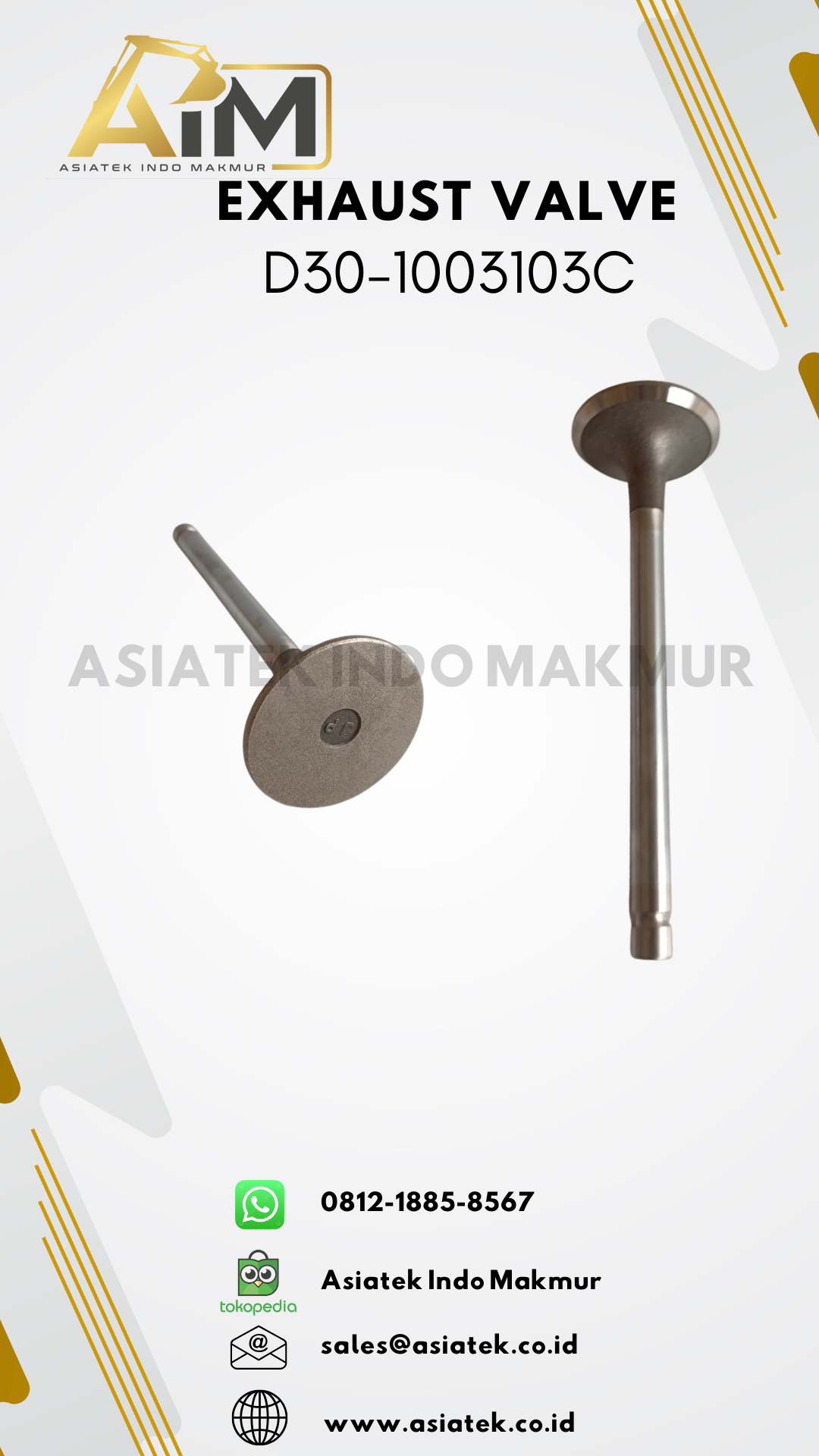 EXHAUST VALVE (D30-1003103C)